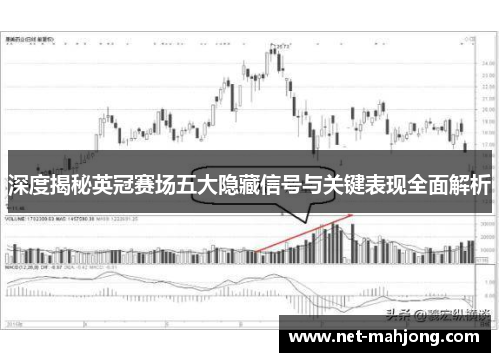 深度揭秘英冠赛场五大隐藏信号与关键表现全面解析
