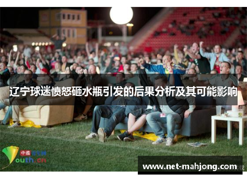 辽宁球迷愤怒砸水瓶引发的后果分析及其可能影响
