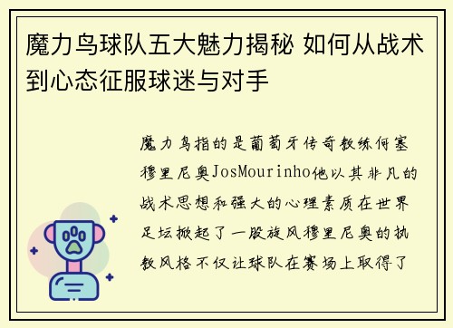 魔力鸟球队五大魅力揭秘 如何从战术到心态征服球迷与对手
