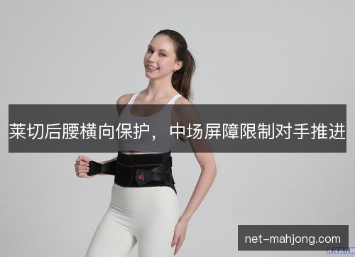 莱切后腰横向保护,中场屏障限制对手推进 莱切后腰横向保护,中场屏障限制对手推进